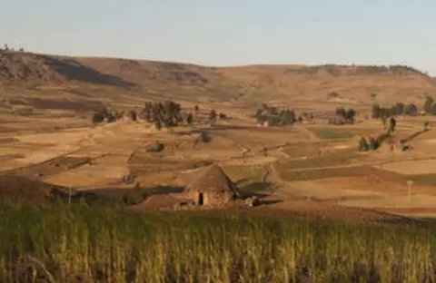 Koorete low land / Koorete gadha suma/ ኾሬቴ ቈላማ ክፍል