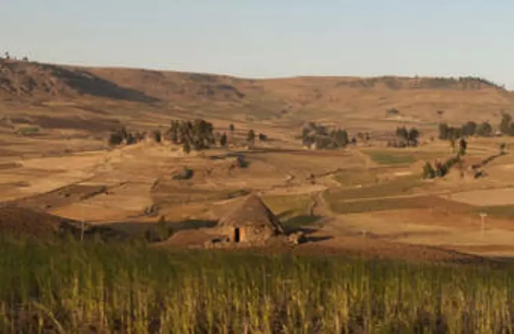 Koorete low land / Koorete gadha suma/ ኾሬቴ ቈላማ ክፍል