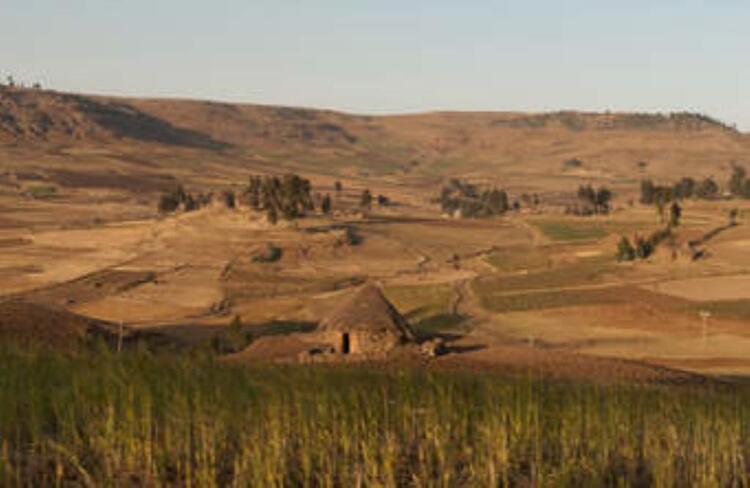 Koorete low land / Koorete gadha suma/ ኾሬቴ ቈላማ ክፍል Koorete low land / Koorete gadha suma/ ኾሬቴ ቈላማ ክፍል